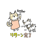 TNRで使えるかごねこスタンプ（個別スタンプ：40）