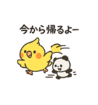 にこにこ小鳥たちの癒し日常スタンプ（個別スタンプ：11）