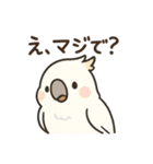 にこにこ小鳥たちの癒し日常スタンプ（個別スタンプ：25）