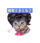 みみ＆クム（個別スタンプ：2）
