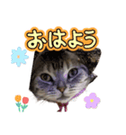 みみ＆クム（個別スタンプ：4）