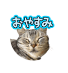 みみ＆クム（個別スタンプ：6）