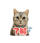 みみ＆クム（個別スタンプ：7）