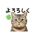 みみ＆クム（個別スタンプ：12）