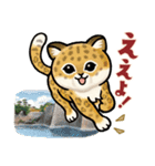 動物の日常会話【大阪篇】（個別スタンプ：3）