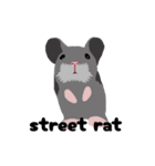 street rat（個別スタンプ：1）
