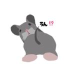 street rat（個別スタンプ：9）