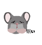 street rat（個別スタンプ：10）