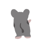 street rat（個別スタンプ：13）