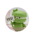 抹茶のマカロンちゃん(丸型)（個別スタンプ：6）