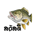 ブラックバスとその仲間たち【タイ語ver】（個別スタンプ：1）