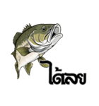 ブラックバスとその仲間たち【タイ語ver】（個別スタンプ：9）