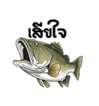 ブラックバスとその仲間たち【タイ語ver】（個別スタンプ：12）