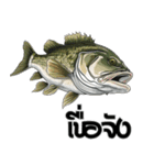 ブラックバスとその仲間たち【タイ語ver】（個別スタンプ：15）