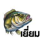 ブラックバスとその仲間たち【タイ語ver】（個別スタンプ：20）