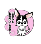 犬ころジョーちゃん（個別スタンプ：1）