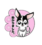 犬ころジョーちゃん（個別スタンプ：3）