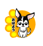 犬ころジョーちゃん（個別スタンプ：5）