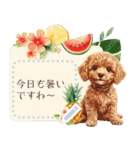 夏だよ！トイプードル★メッセージスタンプ（個別スタンプ：1）