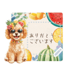 夏だよ！トイプードル★メッセージスタンプ（個別スタンプ：9）