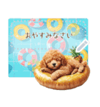 夏だよ！トイプードル★メッセージスタンプ（個別スタンプ：10）