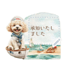 夏だよ！トイプードル★メッセージスタンプ（個別スタンプ：11）