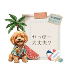 夏だよ！トイプードル★メッセージスタンプ（個別スタンプ：15）