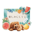 夏だよ！トイプードル★メッセージスタンプ（個別スタンプ：18）