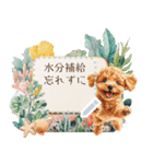 夏だよ！トイプードル★メッセージスタンプ（個別スタンプ：19）