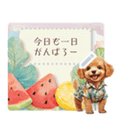 夏だよ！トイプードル★メッセージスタンプ（個別スタンプ：21）