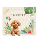 夏だよ！トイプードル★メッセージスタンプ（個別スタンプ：23）