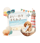 夏だよ！トイプードル★メッセージスタンプ（個別スタンプ：24）