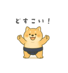 番外編：どすこい！コタロウ大相撲スタンプ（個別スタンプ：3）
