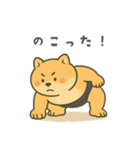 番外編：どすこい！コタロウ大相撲スタンプ（個別スタンプ：5）