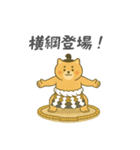 番外編：どすこい！コタロウ大相撲スタンプ（個別スタンプ：11）