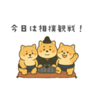 番外編：どすこい！コタロウ大相撲スタンプ（個別スタンプ：13）