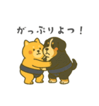 番外編：どすこい！コタロウ大相撲スタンプ（個別スタンプ：19）