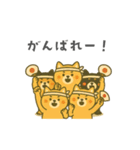 番外編：どすこい！コタロウ大相撲スタンプ（個別スタンプ：21）