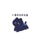 輝くチビねこ（個別スタンプ：10）
