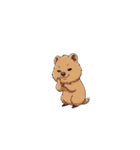 【表情豊かな動物達 3】（個別スタンプ：4）