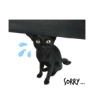 Jiji the former Max valu cat（個別スタンプ：29）