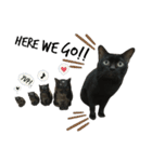 Jiji the former Max valu cat（個別スタンプ：40）
