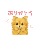チワワのエブリデイ5（個別スタンプ：3）