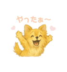 チワワのエブリデイ5（個別スタンプ：9）