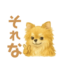 チワワのエブリデイ5（個別スタンプ：14）