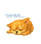 チワワのエブリデイ5（個別スタンプ：19）