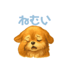 チワワのエブリデイ5（個別スタンプ：20）