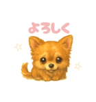 チワワのエブリデイ5（個別スタンプ：21）