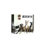 日々是好日徒然犬猫（個別スタンプ：7）