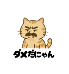 ネコ部長（個別スタンプ：4）
